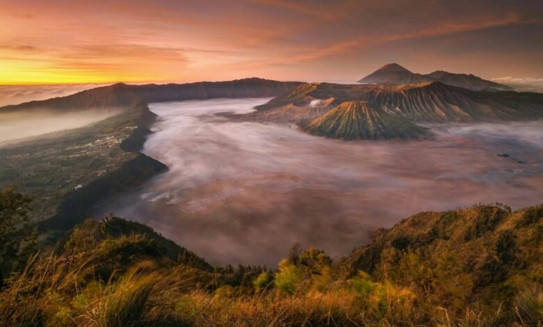 commercial signal evolution data