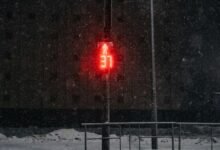 commercial signal insight bulletin