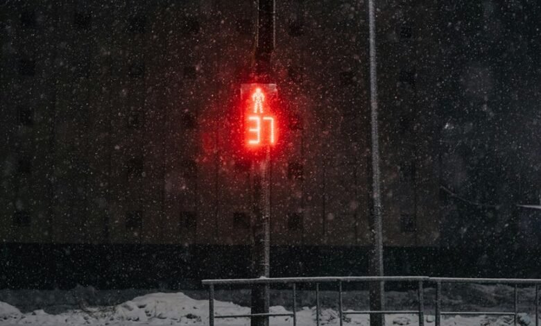 commercial signal insight bulletin