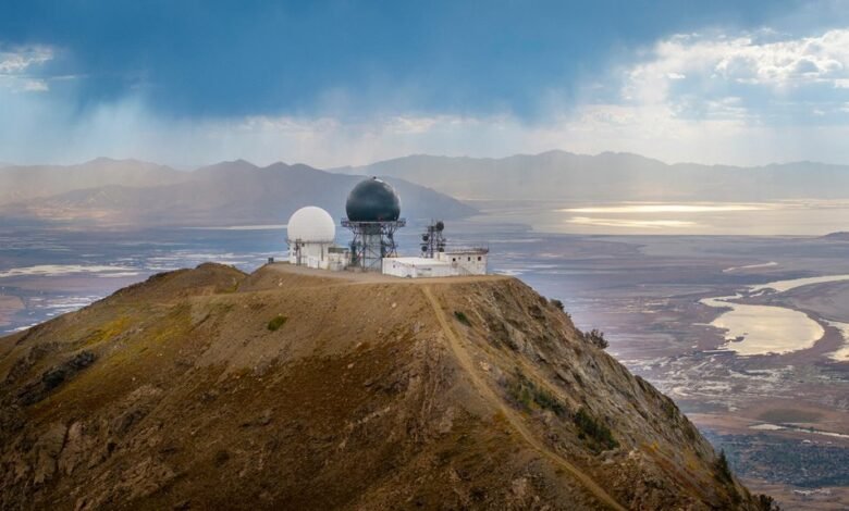 commercial signal outlook report