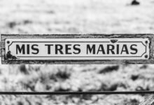 corporate intelligence overview snapshot