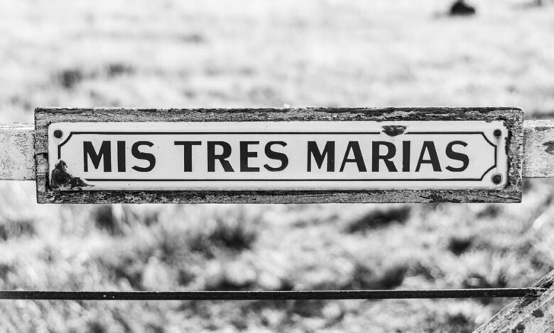 corporate intelligence overview snapshot