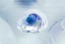 strategic data intelligence brief