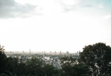 digital growth and expansion