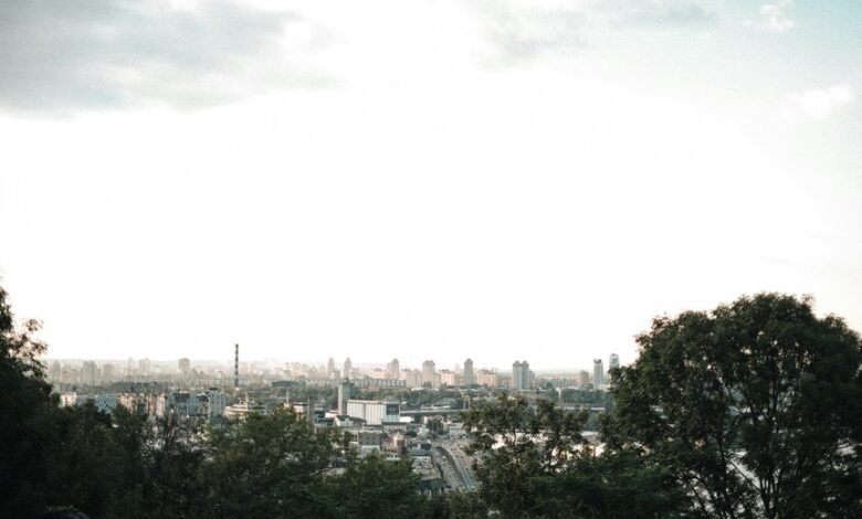 digital growth and expansion