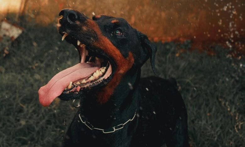 digital tracking activity alerts