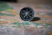 simplify and explore tasks