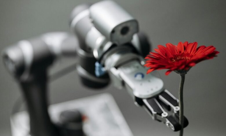 strategic development and progression